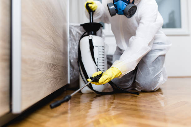 Best Ant Control Services  in New Haven, WV