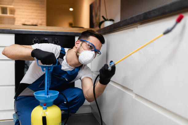  New Haven, WV Pest Control Pros
