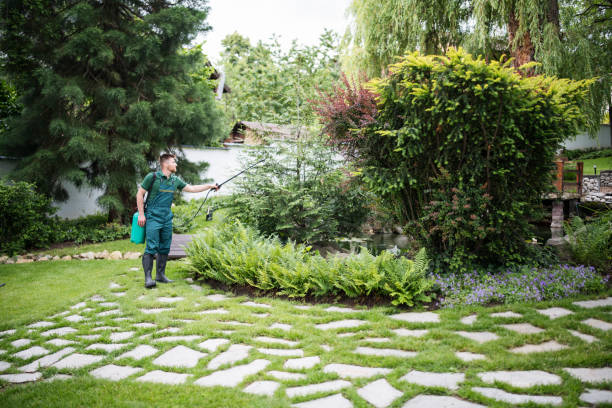 Best Best Pest Control Companies  in New Haven, WV