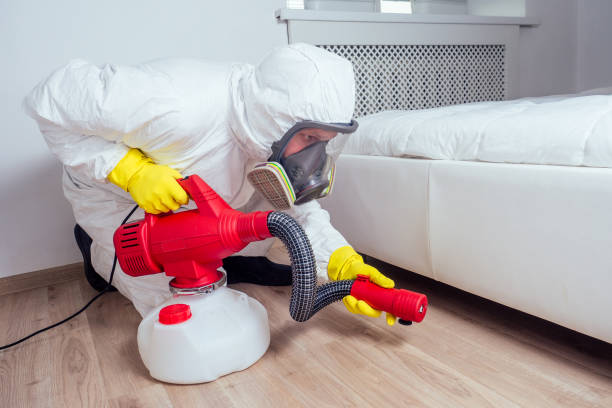 Best Local Pest Control Services  in New Haven, WV