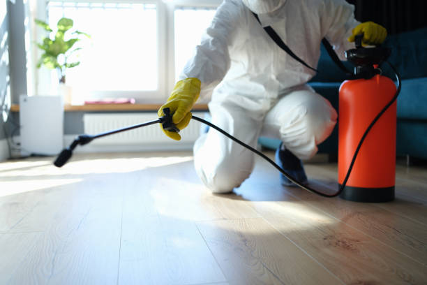 Best Flea Control Services  in New Haven, WV