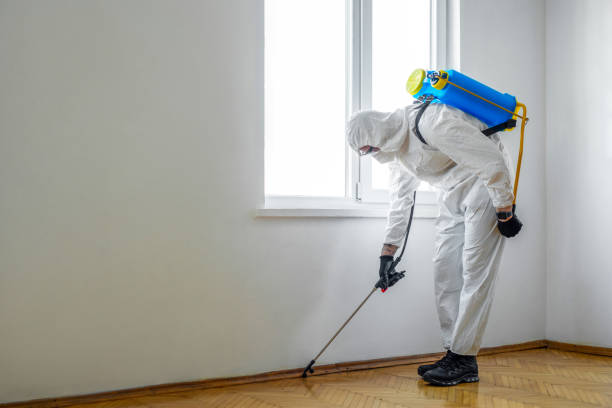 Best Mosquito Control Services  in New Haven, WV