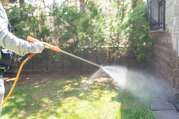 Professional Pest Control in New Haven, WV