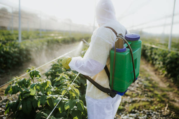 Best Pest Prevention Services  in New Haven, WV